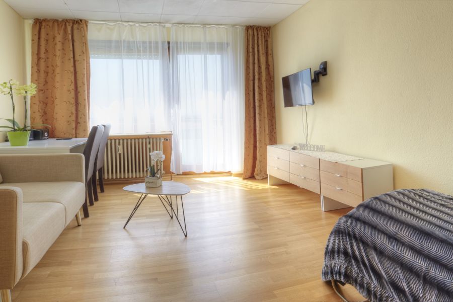 Ein-Zimmer-Apartment